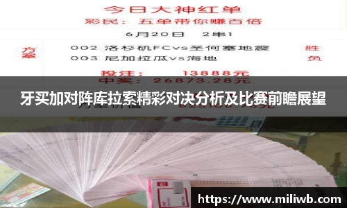 米乐yy易游